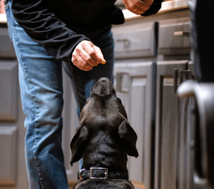 Luring and Heeling Foundations