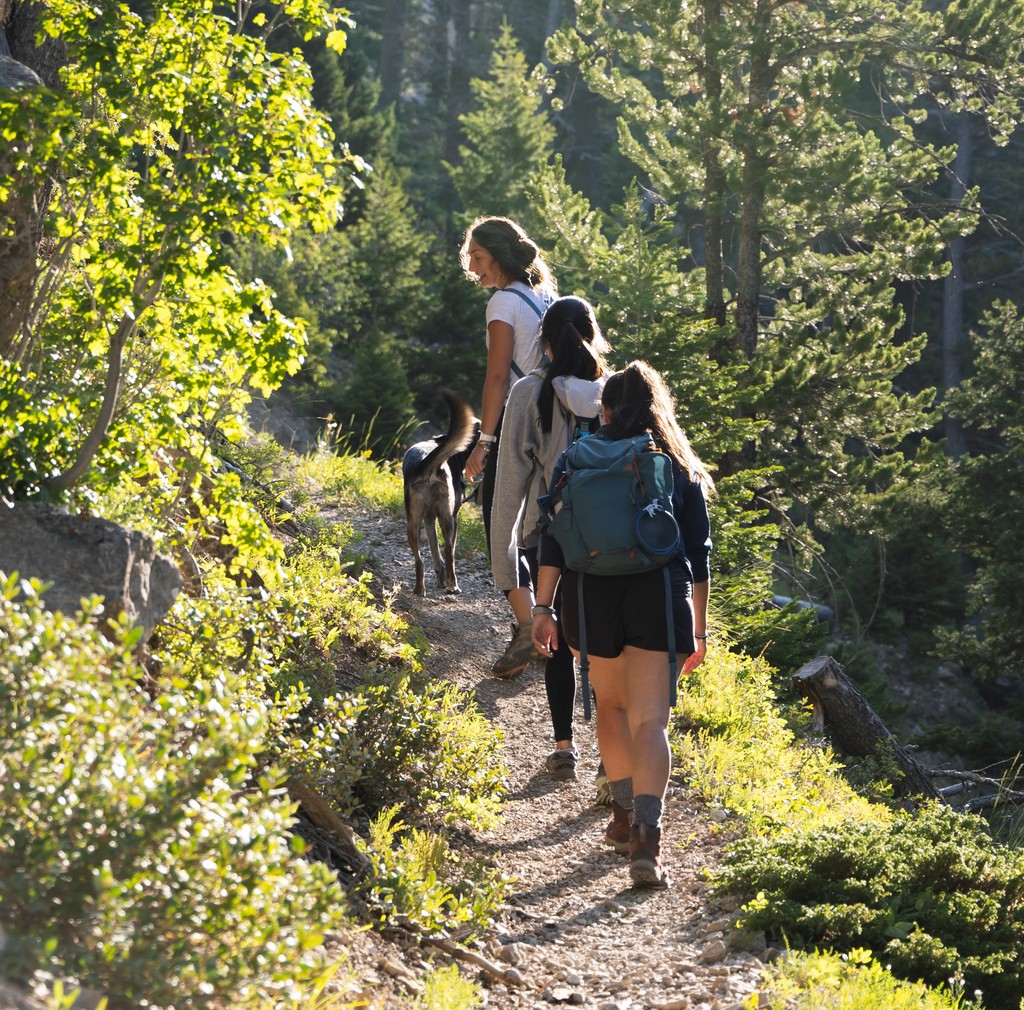 Hikers on a trail with their dog