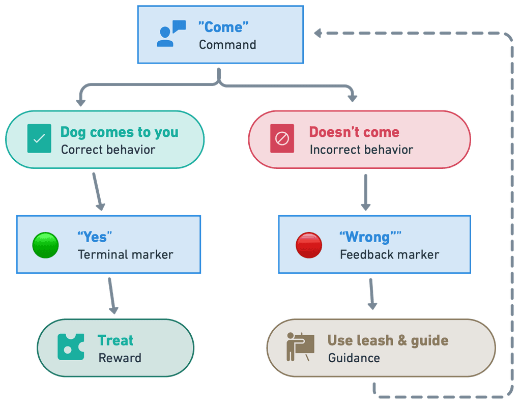 Diagram showing momentary behavior marker usage